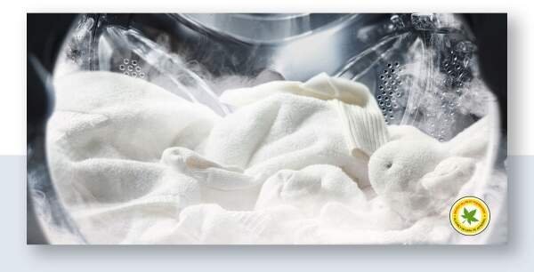 88d80fac246358ad7471a37aba116d37